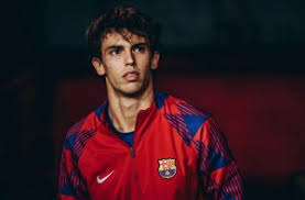 恩比德可能接受半月板置换手术，一起来了解该手术并回顾曾经历半月板损伤的球员47亮535回复